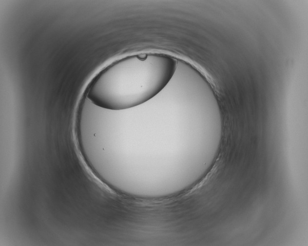 X0000113171518200909040924