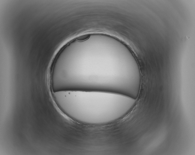 X0000113171519200909040924