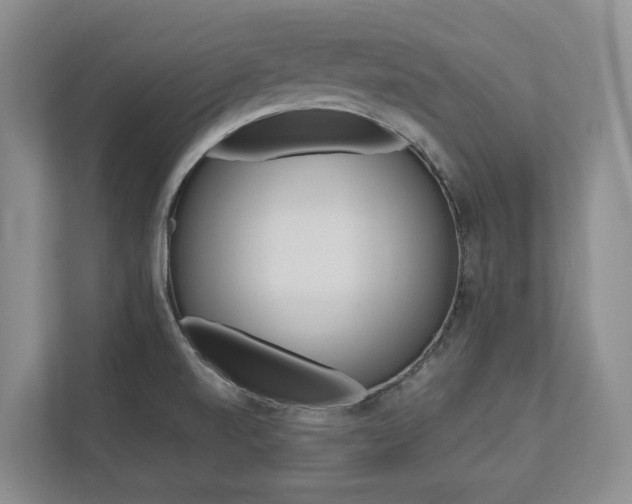X0000113171520200909040924
