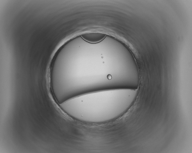 X0000113171522200909040924