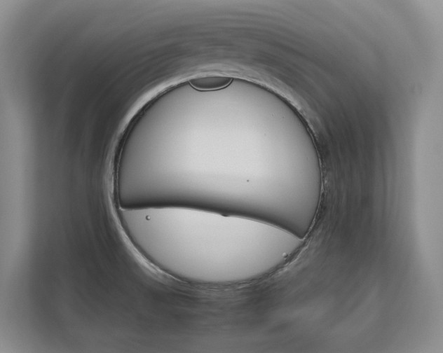 X0000113171523200909040924