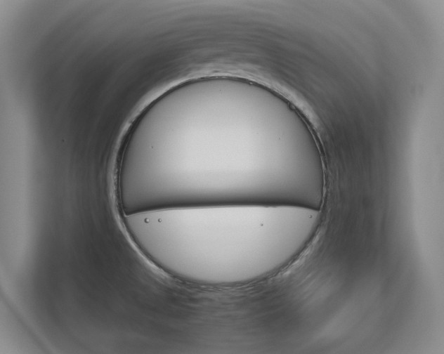 X0000113171525200909040924