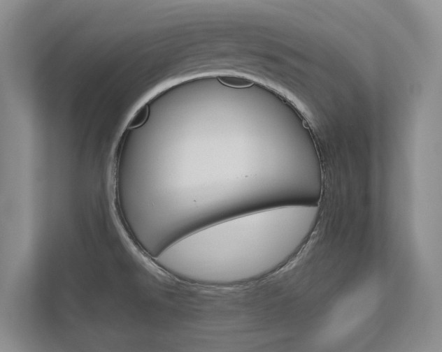 X0000113171526200909040924
