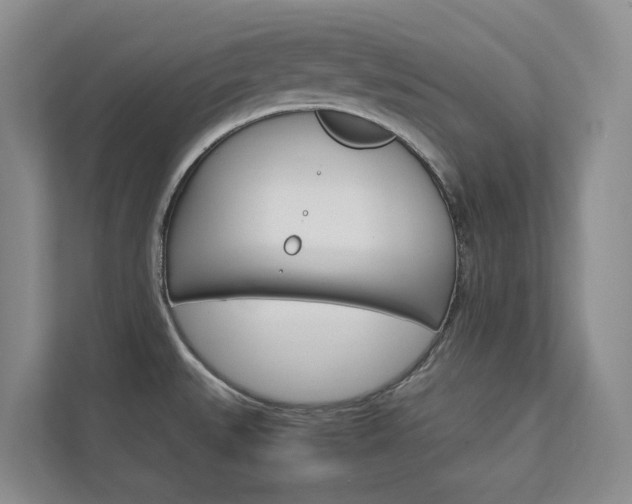 X0000113171527200909040924
