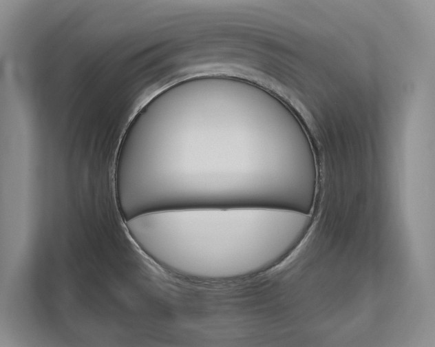X0000113171529200909040924