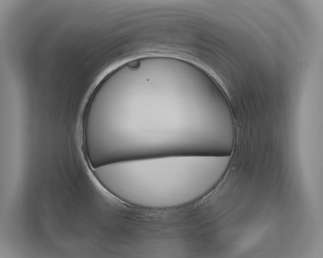 X0000113171531200909040924