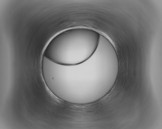 X0000113171532200909040924