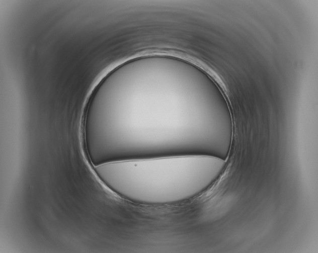 X0000113171533200909040924