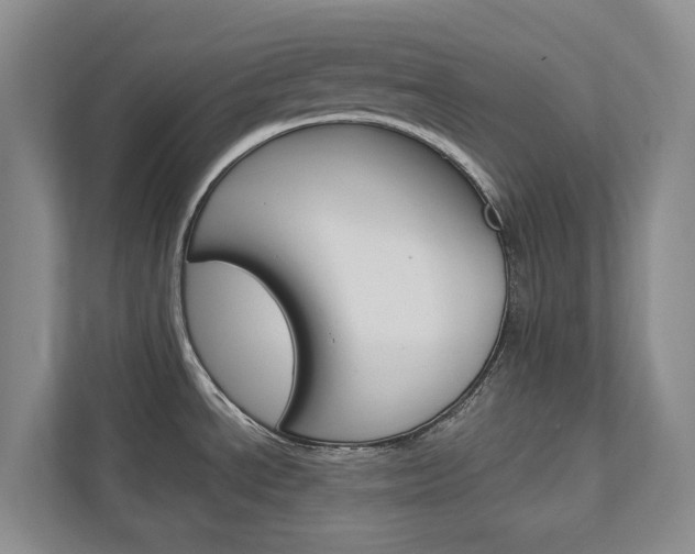 X0000113171534200909040924