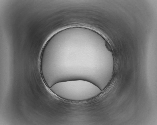 X0000113171535200909040924