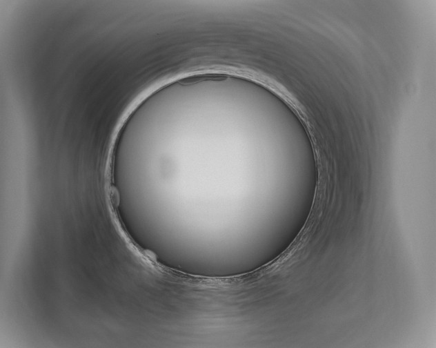 X0000113171536200909040924