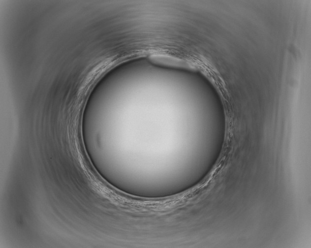 X0000113170001200909041332