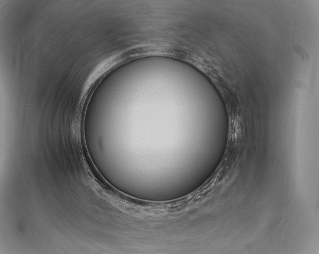 X0000113170004200909041332
