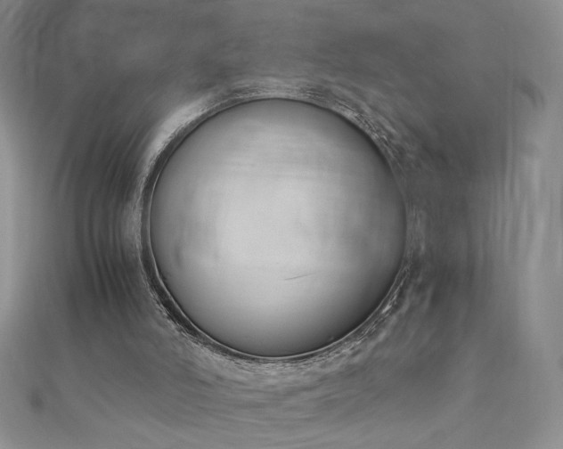 X0000113170006200909041332