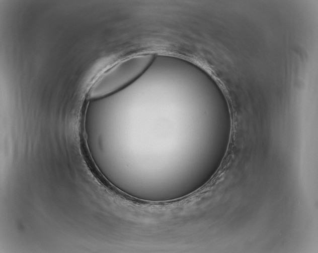 X0000113170007200909041332