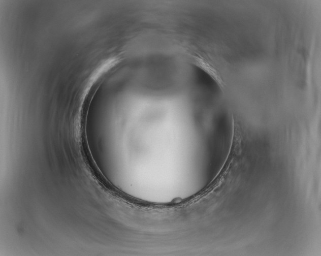 X0000113170008200909041332
