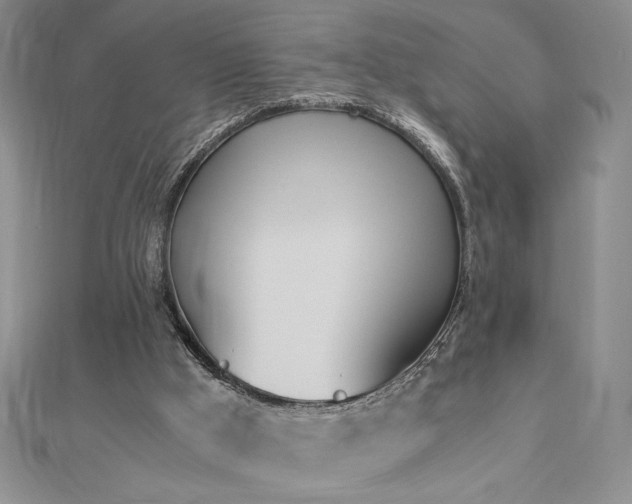 X0000113170009200909041332