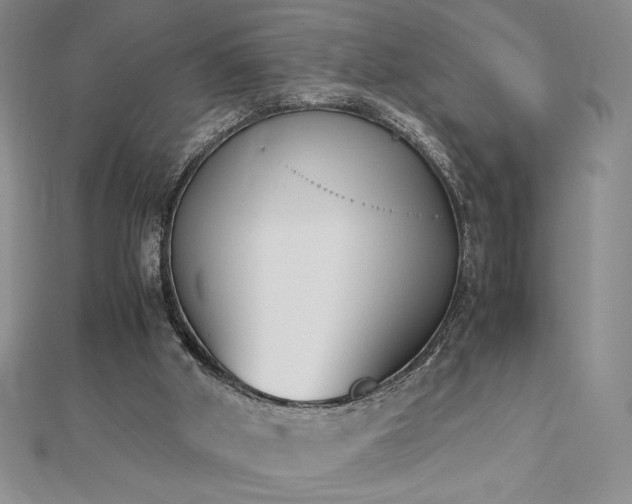 X0000113170010200909041332