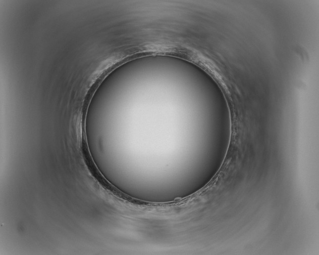 X0000113170011200909041332