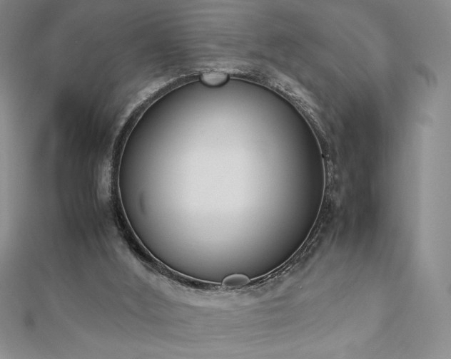 X0000113170012200909041332