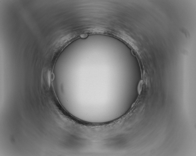 X0000113170013200909041332