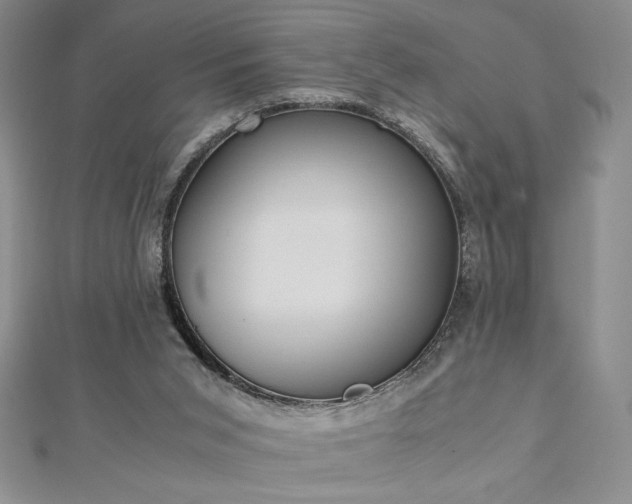 X0000113170015200909041332