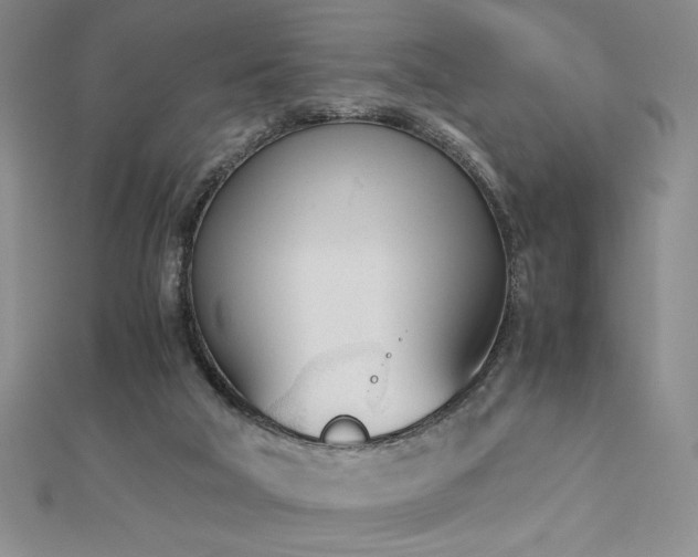 X0000113170018200909041331