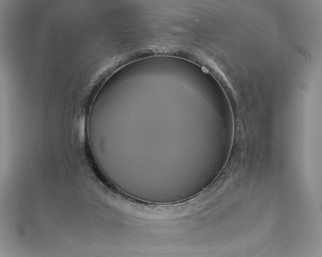X0000113170019200909041331