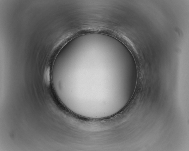 X0000113170020200909041331