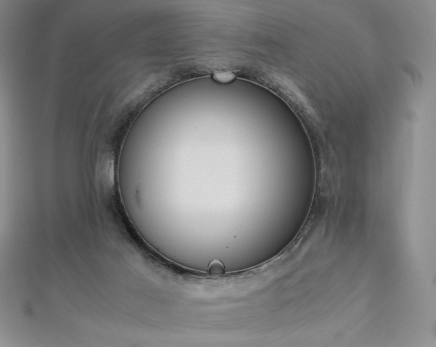 X0000113170021200909041331