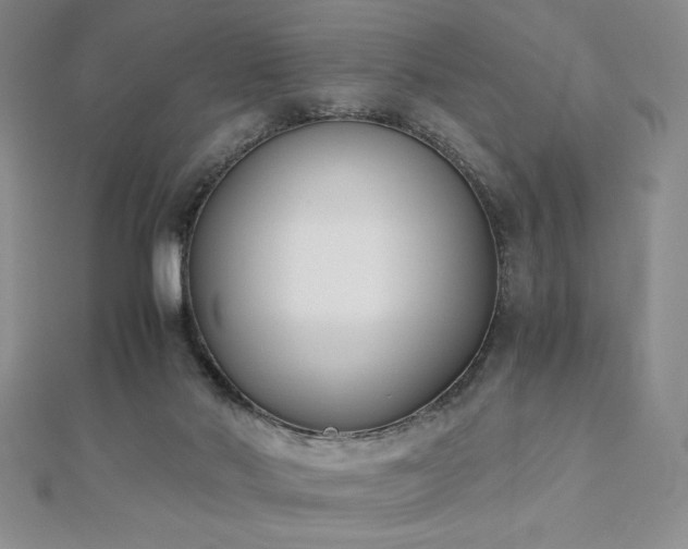 X0000113170022200909041331