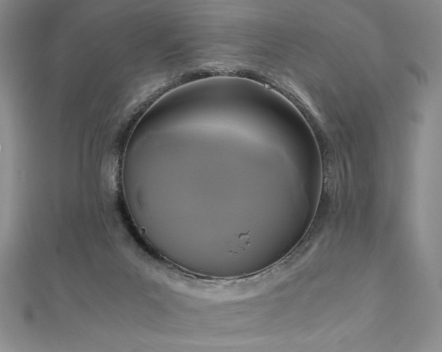 X0000113170023200909041331
