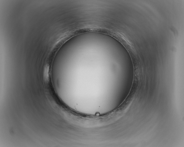 X0000113170024200909041331