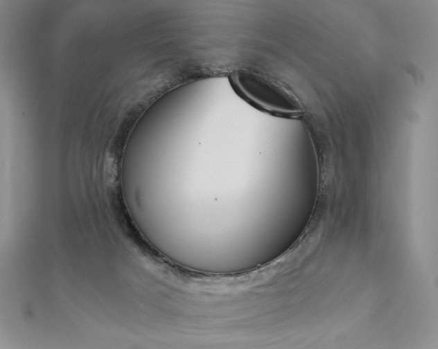 X0000113170025200909041331