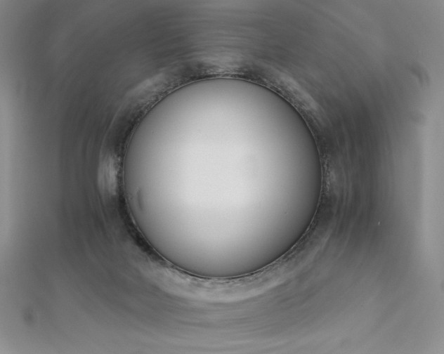 X0000113170026200909041331