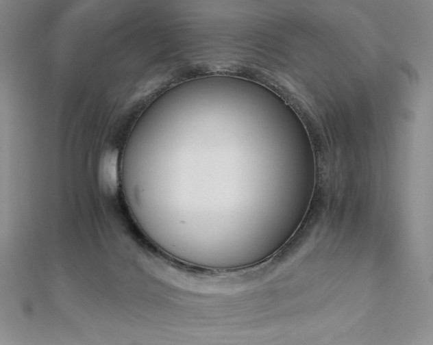X0000113170028200909041331