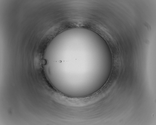 X0000113170030200909041331