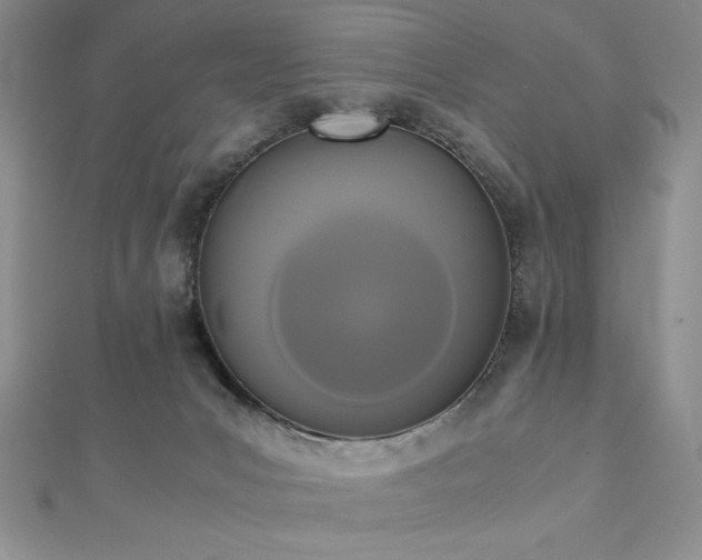 X0000113170031200909041331
