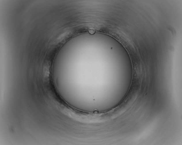X0000113170032200909041331