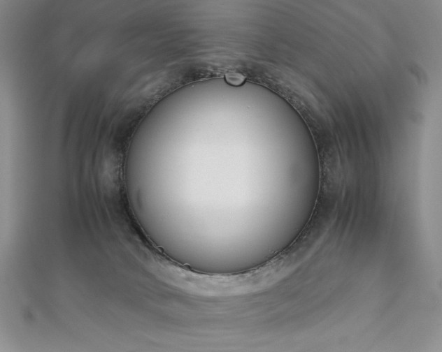 X0000113170034200909041331