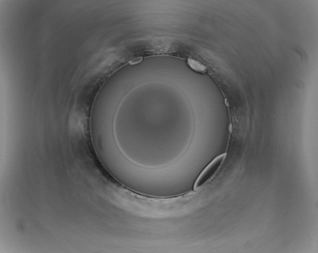 X0000113170035200909041331