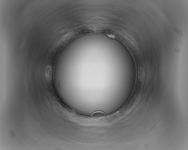 X0000113170036200909041331