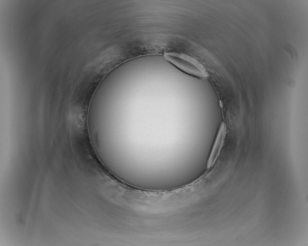 X0000113170037200909041331