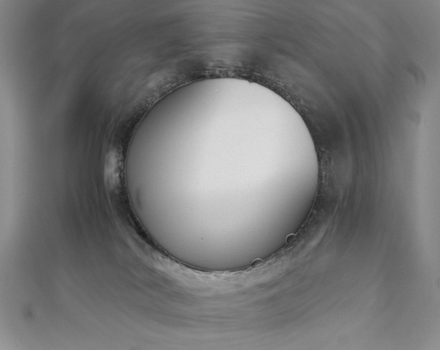 X0000113170038200909041331