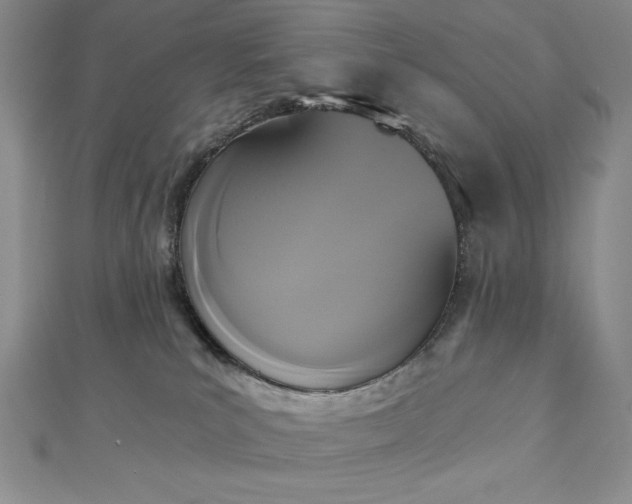 X0000113170039200909041331