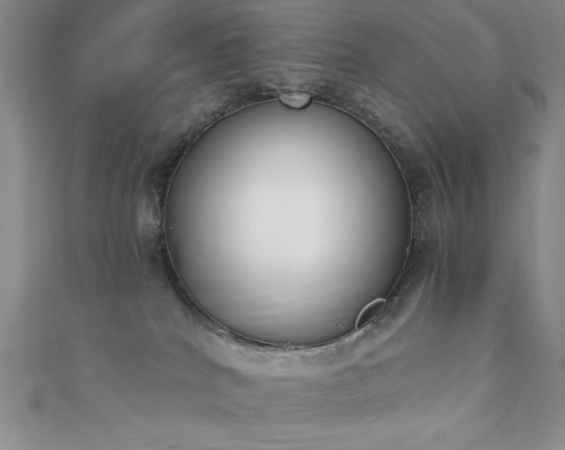 X0000113170040200909041331