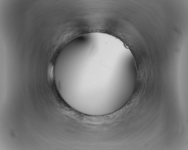 X0000113170041200909041331