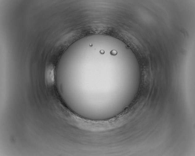 X0000113170042200909041331