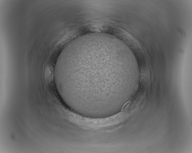 X0000113170043200909041331