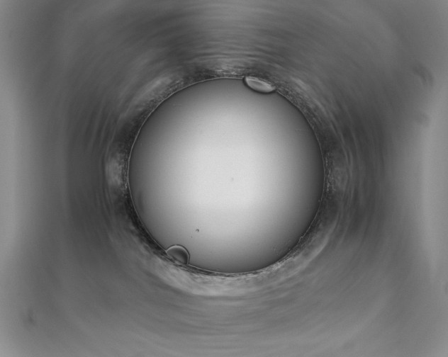 X0000113170044200909041331